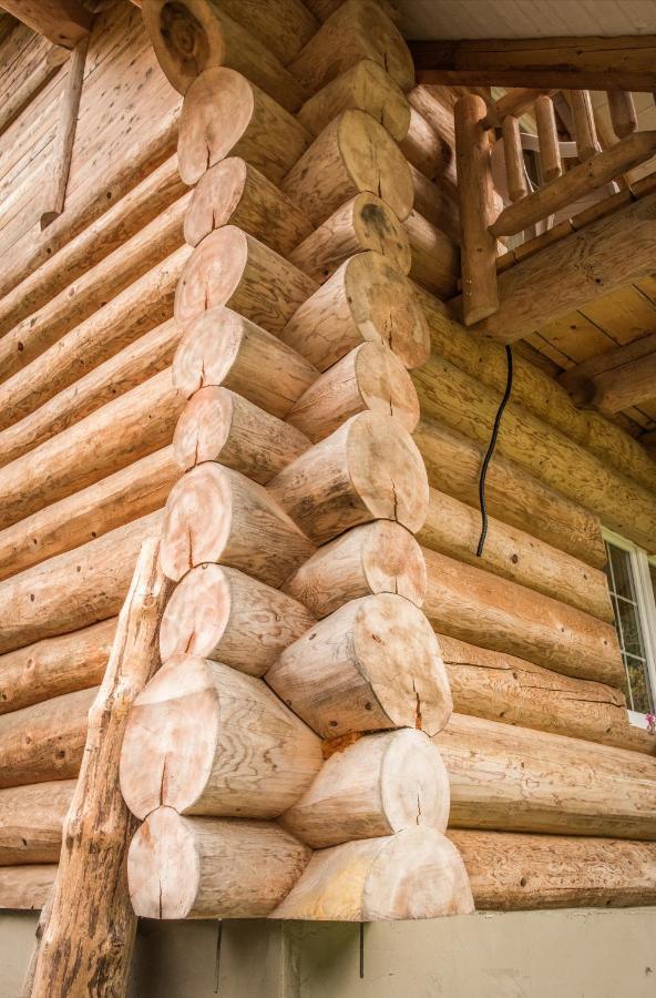 Chalet Le Dorf Нёч Экстерьер фото